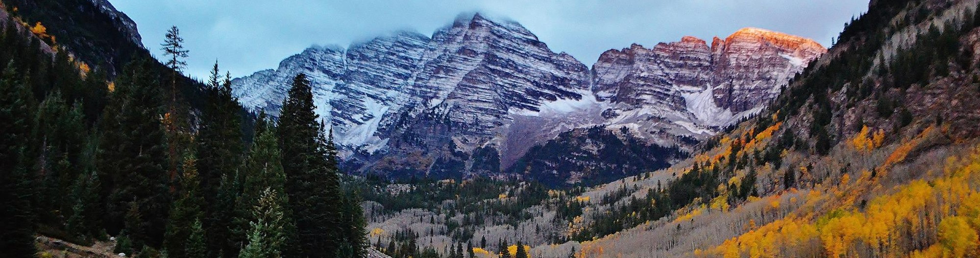 Mountain and Trees